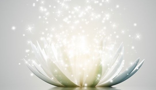 My Image